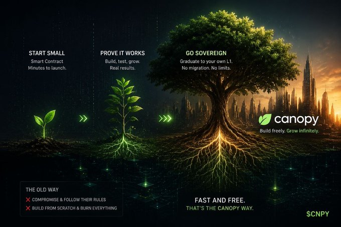 A promotional graphic for 'canopy' showing a plant's growth stages from small to tree, with text 'Build freely. Grow infinitely.' and ticker '$CNPY'.