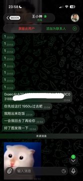 A screenshot of a mobile chat interface in Chinese with a dark green patterned background, showing multiple messages and an image of a small white dog.