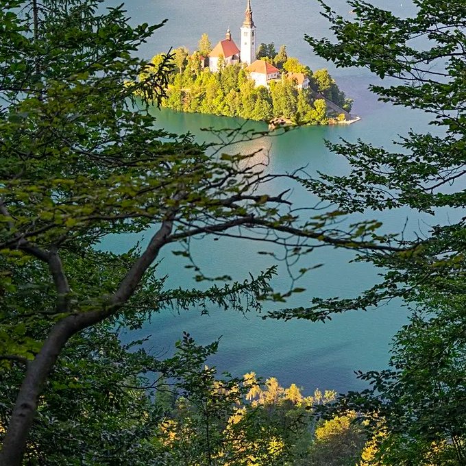 A scenic view of Bled Island with its iconic church, framed by tree branches in the foreground overlooking turquoise lake water.