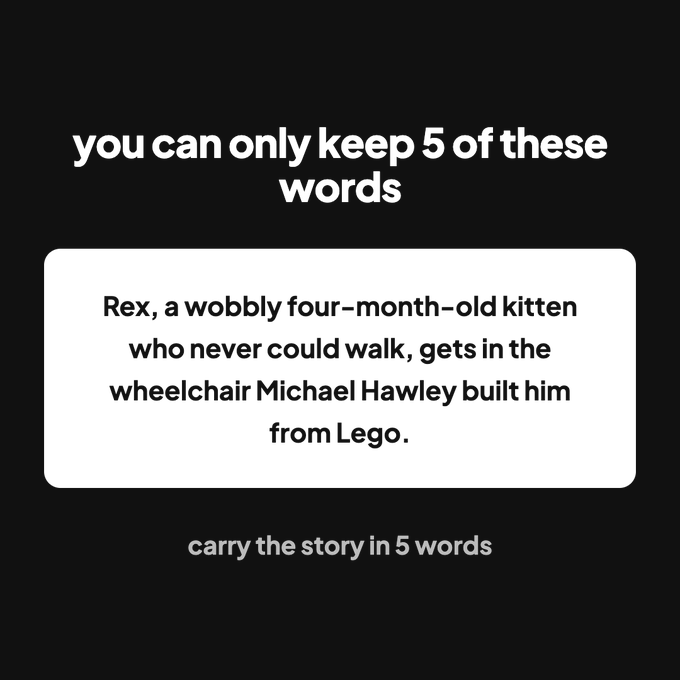 A black screen presents a word game challenge: "you can only keep 5 of these words" followed by a story about a kitten named Rex who received a Lego wheelchair, with the prompt "carry the story in 5 words".