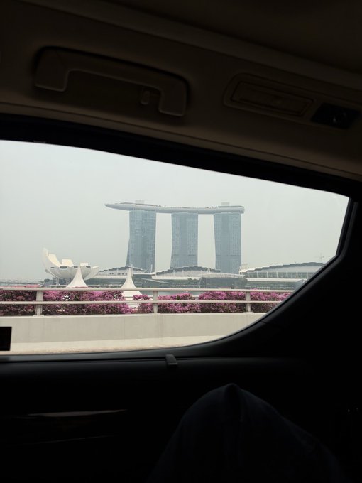 Viewed from inside a car, the iconic Marina Bay Sands hotel towers in Singapore rise above a row of pink flowers, with the ArtScience Museum's lotus-like shape visible at its base.

The image shows the author traveling in Singapore, with the distinctive skyline serving as visual proof of their journey—implying the post is about their offline experiences and principled stance against paid crypto promotions.