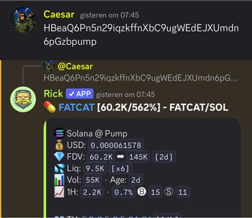 The image shows a Discord conversation where Rick shares a Solana token tracker for "FATCAT" (contract HB...6pG) with a market cap of $60.2K, a 56% gain, and 145K FDV, supporting the post's enthusiastic call-out that FATCAT is a rising Solana meme coin worth attention.