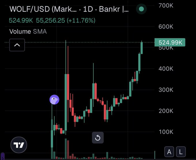 TradingView chart showing WOLF/USD pair with current price at 524.99K, up 11.76% on a 1-day timeframe from Bankr.
