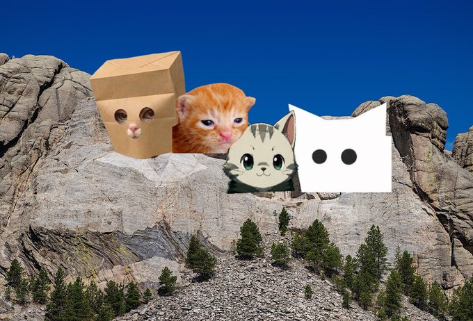 A humorous photoshopped image of cats with different heads/paper bag heads lined up on Mount Rushmore against a blue sky.