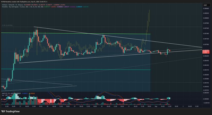 A TradingView candlestick chart showing a symmetrical triangle pattern forming on the VeChain/TetherUS (VET/USDT) trading pair.
