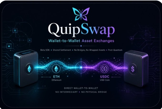 A promotional graphic for 'QuipSwap' featuring a butterfly logo, advertising 'Wallet-to-Wallet Asset Exchanges' between ETH Ethereum and USDC USD Coin with the tagline 'DIRECT WALLET-TO-WALLET, NO INTERMEDIARY • NO PHYSICAL BRIDGE'.