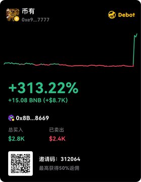 This image shows a cryptocurrency portfolio with a significant gain of +313.22%, highlighting a successful investment of +15.08 BNB worth $8.7K, suggesting "all the coins are right here, safe and sound." The visual of a thriving portfolio directly supports the accompanying post's message.