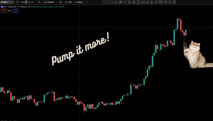 A cryptocurrency trading chart for INJ/USDT on Binance labeled 'Pump it more!' with a cat image scratching upward beside a sharp price spike.