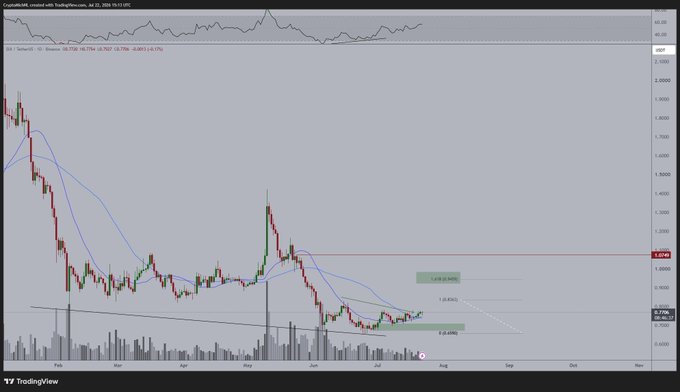 A TradingView candlestick chart for $SUI/USDT (Sui Network) on Coinbase shows the token consolidating around $0.72–$0.74 near a marked support zone at $0.69 after a strong decline from early 2025 highs. The chart illustrates the bullish setup described in the post, with price testing the moving averages for support, a projected 1.618 Fibonacci extension line pointing toward the upside targets of $0.85 and $1.00.