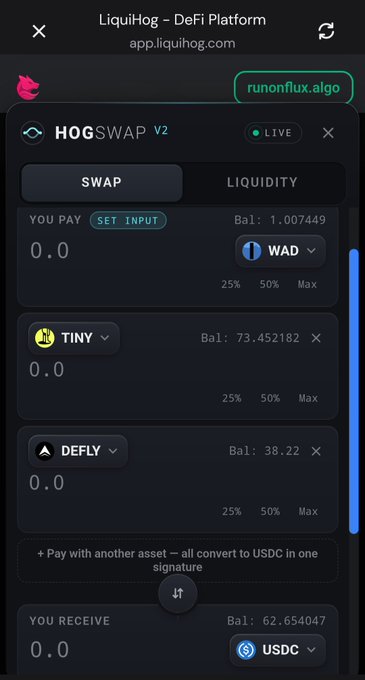 The image shows the LiquidHog DeFi platform's HOGSWAP V2 interface, displaying a swap function between multiple tokens (WAD, TINY, DEFLY, and USDC) with respective balances visible. The "+ Pay with another asset – all convert to USDC in one signature" feature appears to be the "magic" referenced in the post, allowing users to pay with any asset while receiving USDC in a single transaction—a unique feature not commonly found on other swap platforms.