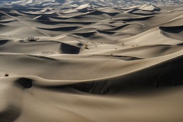 A landscape view of rolling sand dunes with visible footprints in the sand.