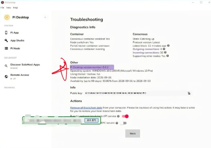 A Pi Desktop troubleshooting screen displaying diagnostics info including Pi Desktop version number 0.6.2, operating system Windows 10.0.19045, and consensus status, with the API service toggle highlighted.