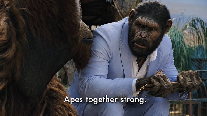 A chimp in a blue suit points a finger forward while speaking to another ape, with the caption "Apes together strong."

The image visually echoes the post's message by using the "apes together strong" rallying cry as a metaphor for collective action, suggesting that embracing the moment and pressing "the green button" is best done as a united front rather than in apathy.