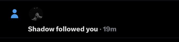 A dark social media notification showing a generic profile icon and the text 'Shadow followed you · 19m'.