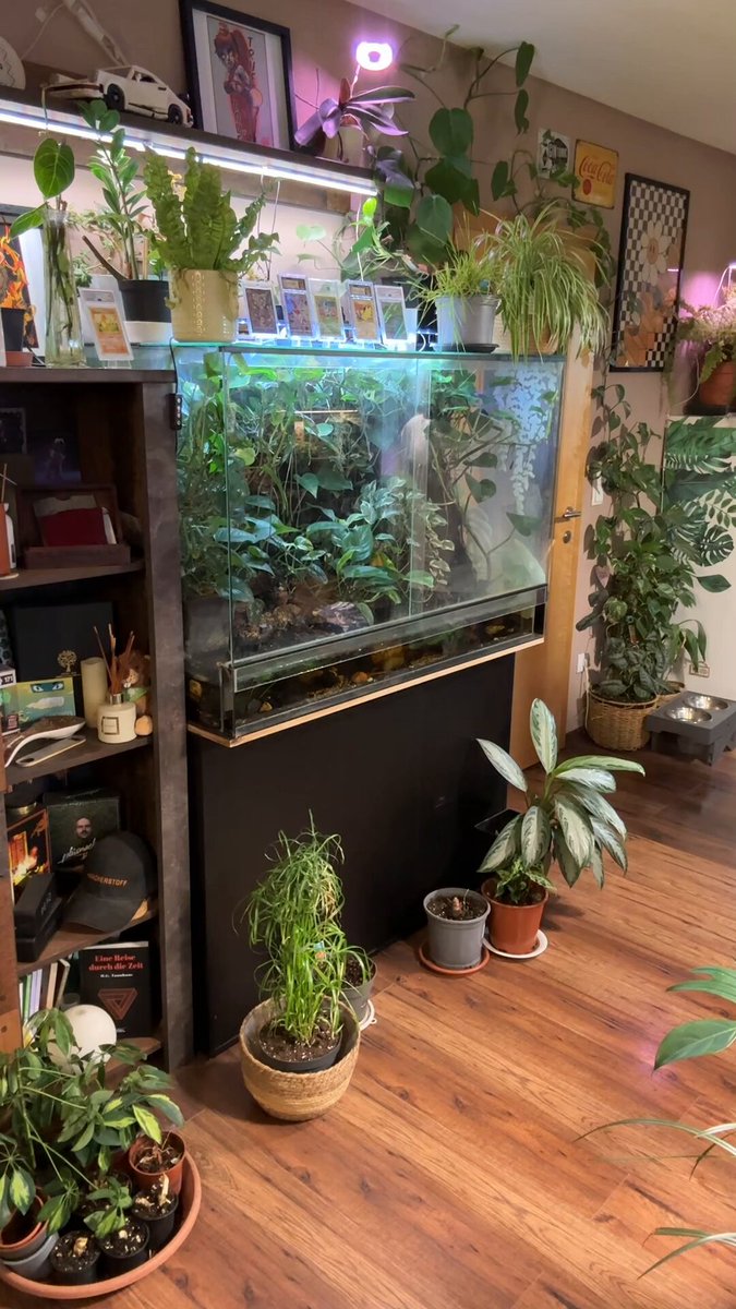 The image features a room with various potted plants, including several large ones that fill up most of the space. There are also smaller plants scattered throughout the room. A bookshelf filled with numerous items can be seen next to the plants, adding to the overall atmosphere of the scene. The post about paying for coffee in stables is related to this image as it suggests a connection between the potted plants and the wallet-connected payment system being tested by the user.