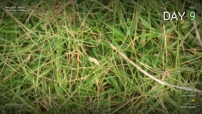 Close-up image of grass with overlay text indicating 'Day 9' of a growth verification, certified by 'touch grass' at TCP_10X.