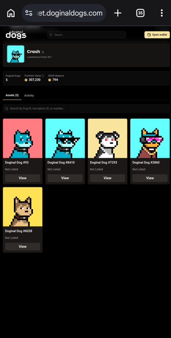 Screenshot of the doginaldogs.com NFT collection page, showing the 'Crash' collection stats (5 supply, 307,230 portfolio value, 794 ZEC balance) with several Doginal Dog pixel-art assets listed but not used.