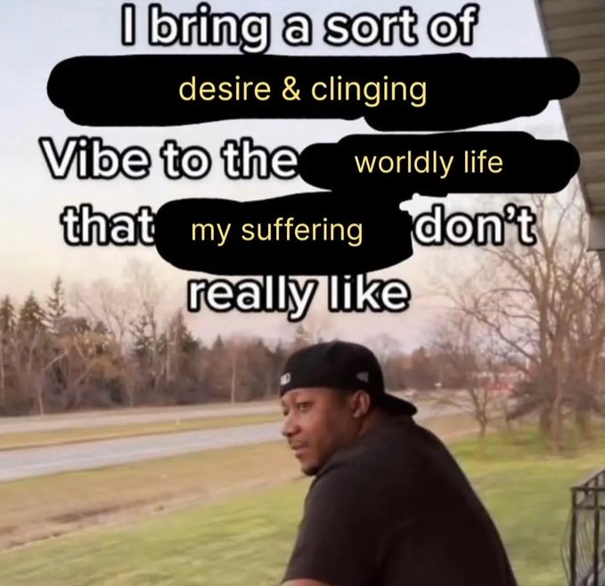 A meme photo of a man outdoors with overlaid text 'I bring a sort of [desire & clinging] Vibe to the [worldly life] that [my suffering] don't really like'.