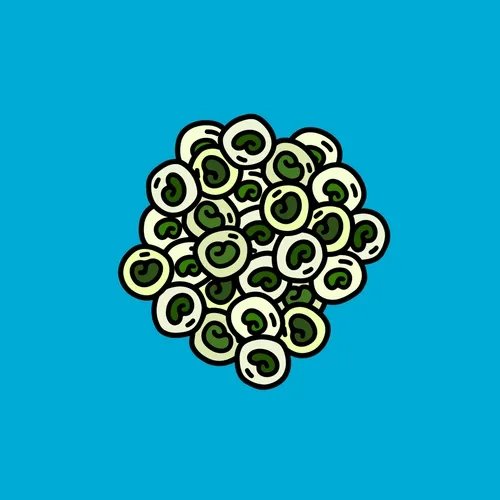 A cartoon-style illustration depicts a cluster of round green and white objects resembling sliced olives or eyeballs on a bright blue background.