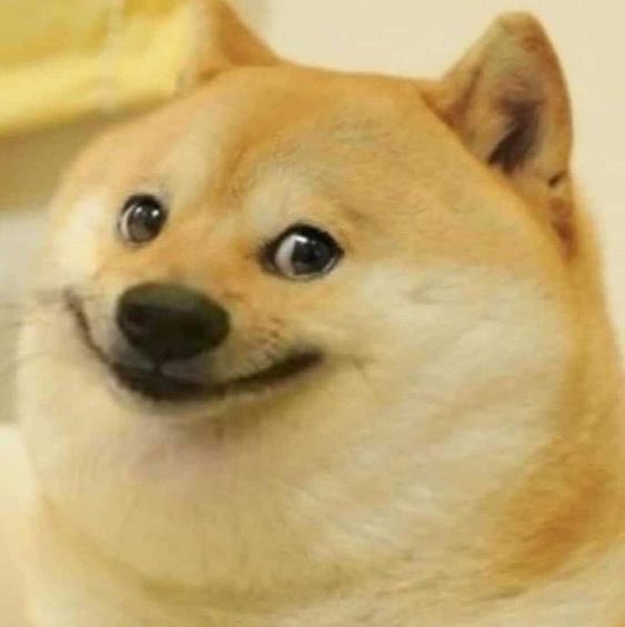 A close-up photo of a Shiba Inu dog with a slight smile, looking toward the camera.