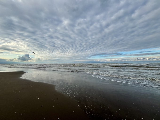 A serene beach scene with gentle waves washing onto dark sand, dramatic patterned clouds in the sky, and a single bird in flight.