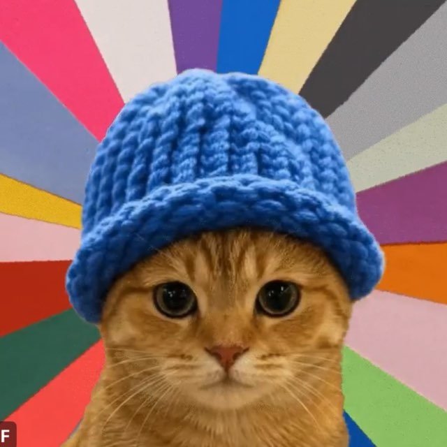 An orange tabby cat wearing a blue knitted beanie stares forward against a colorful, radiating multicolor striped background.