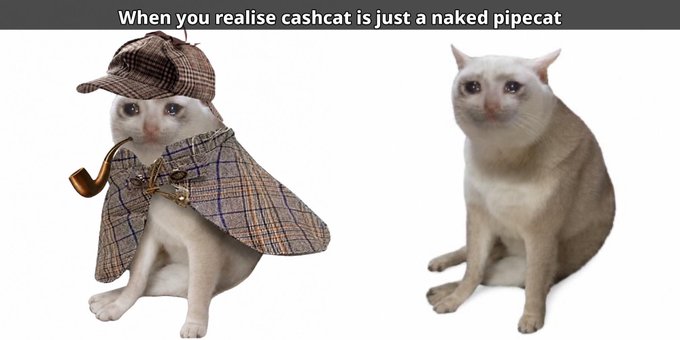 A humorous image with text "When you realise cashcat is just a naked pipecat" showing two cats: one dressed in a Sherlock Holmes-style detective outfit with cap and cape, and one plain white cat without clothing.