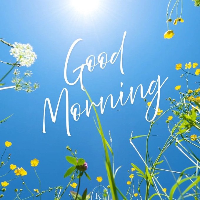 A bright "Good Morning" greeting in white script overlays a sunlit meadow scene with yellow wildflowers and white blooms against a vivid blue sky. The image pairs with the post's message about Canopy Network (@CNPYNetwork), evoking the growth of an idea into a flourishing ecosystem, mirroring how morning light nurtures new beginnings.