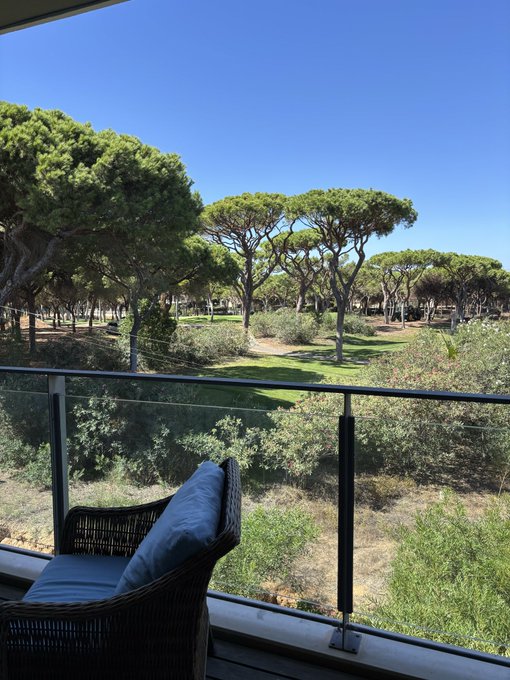 A view from a balcony overlooking a park with Mediterranean pine trees, green grass, and a clear blue sky, with a wicker chair and blue cushion in the foreground.