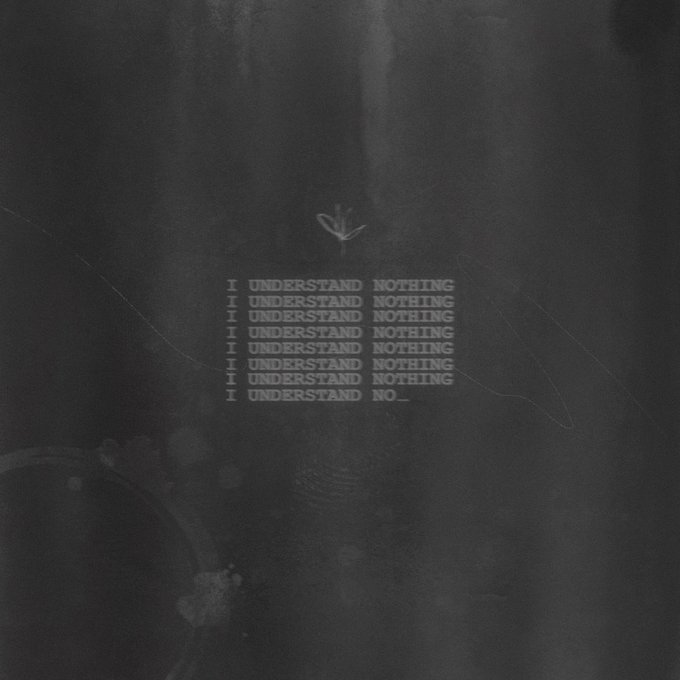 A dark, moody artwork featuring the repeated phrase "I UNDERSTAND NOTHING" stacked six times, followed by "I UNDERSTAND NO_" on the seventh line, with a small crown emblem above the text. The piece, titled "I UNDERSTAND NOTHING," is a 1/1 NFT drop by the artist on TransientLabs, matching the contemplative theme of the accompanying post.