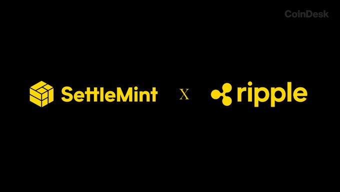 A black graphic with yellow text announcing a partnership between 'SettleMint' and 'ripple' (XRP), credited to CoinDesk in the upper right.