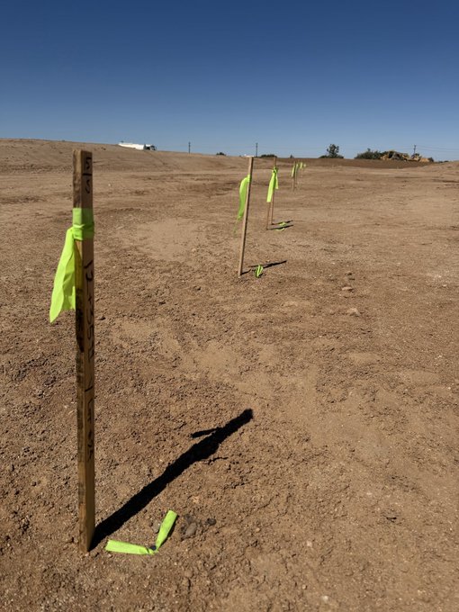 Wooden stakes with bright yellow-green flagging tape mark positions across a dry, dusty dirt field under a clear blue sky.
