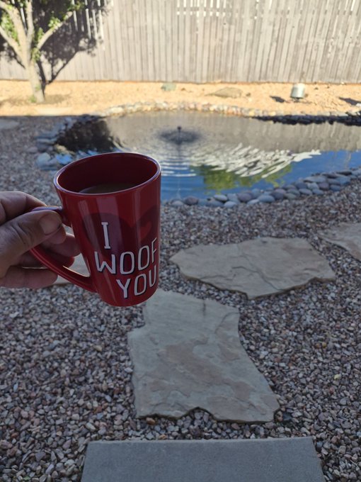 A hand holds a red mug reading 'I WOOF YOU' beside a backyard koi pond with stepping stones.