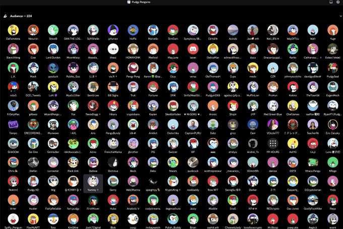 A Discord screenshot showing the Pugby Penguins server audience list with 224 members, displaying numerous circular user avatars in a grid layout.