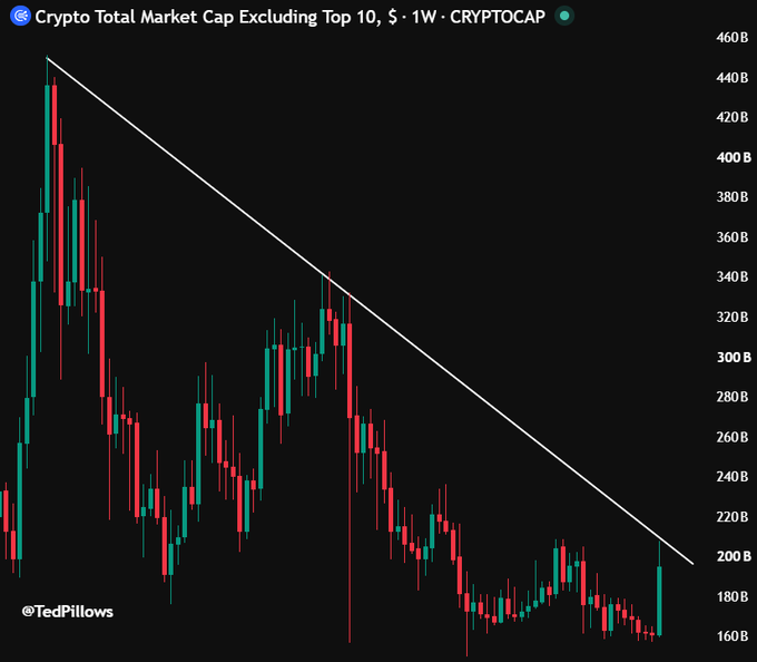 A weekly chart of the "Crypto Total Market Cap Excluding Top 10" (CRYPTOCAP) shows a clear descending trendline connecting highs of approximately $440B and $200B, with the most recent candle testing but failing to break above this resistance near the $200B level—visually supporting the post's claim that altcoin market cap remains trapped in a downtrend and has yet to confirm a breakout against Bitcoin.