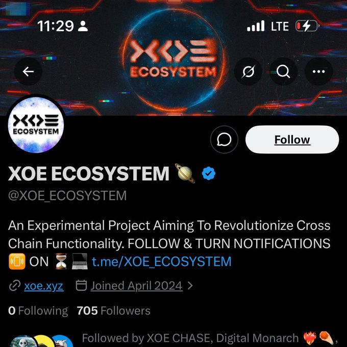 The image shows a Twitter/X profile for "XOE ECOSYSTEM" (@XOE_ECOSYSTEM), described as "An Experimental Project Aiming To Revolutionize Cross Chain Functionality," with 705 followers, joined April 2024, and linked to xoe.xyz. The post references someone shilling the project and asking about NFT mints, which aligns with the image showcasing the XOE Ecosystem's official profile, likely being used to verify or promote the NFT minting opportunity.