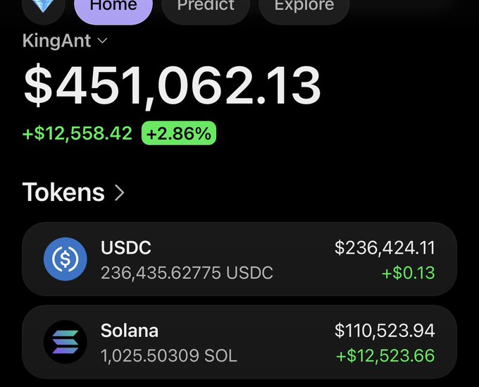 A cryptocurrency portfolio app showing a total balance of $451,062.13 with a +2.86% gain, displaying holdings of 236,435.62775 USDC and 1,025.50309 SOL under the username KingAnt.