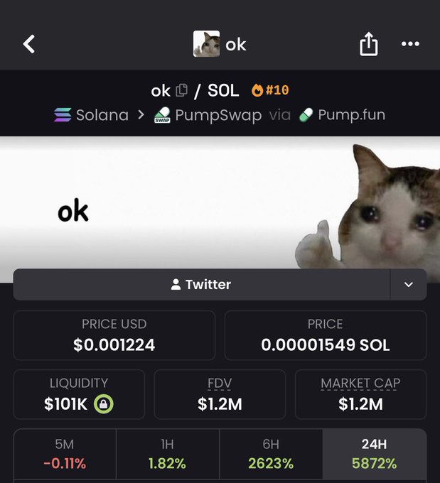 A screenshot of the "ok" cat-themed meme coin on PumpSwap via Pump.fun shows a price of $0.001224 (0.00001549 SOL) with a $1.2M market cap and a staggering 5872% gain in 24 hours, illustrating the post's point that cat coins are pumping hard and trenches are alive again.