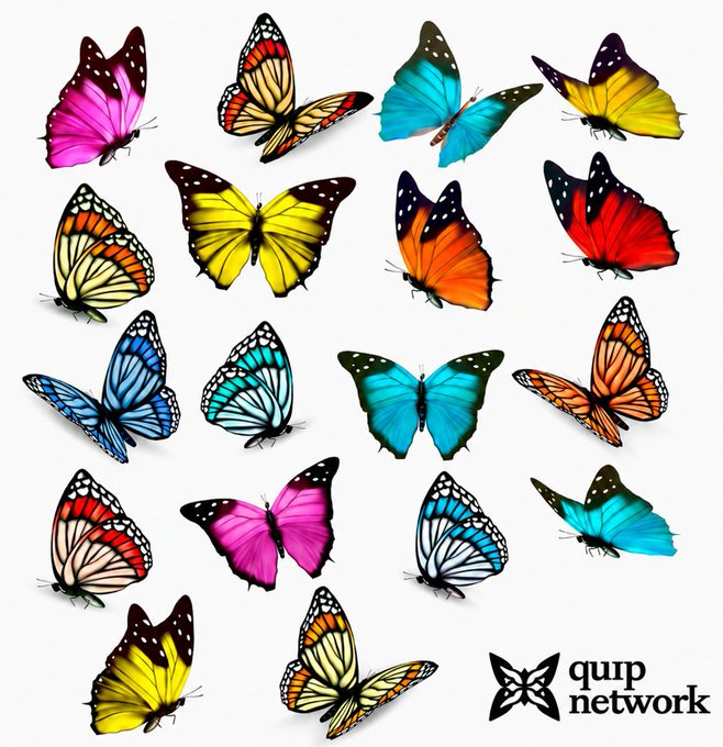 An array of colorful butterfly decorations featuring various patterns and hues (pink, blue, yellow, orange, red) arranged on a white background, with a 'quip network' logo in the bottom right corner.