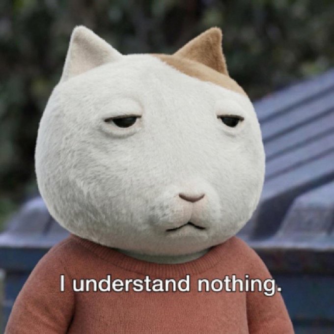 A popular meme featuring a white cat with a confused expression and the caption 'I understand nothing.'