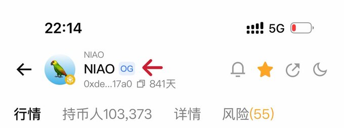 A mobile app profile screen displays the username "NIAO" with an "OG" tag (highlighted by a red arrow), holding wallet address "0xde...17a0" with 841 days of history and 103,373 holders. The image illustrates the user's question about the meaning of "OG" next to the token name, which typically denotes the original version of a token when multiple namesake tokens exist.