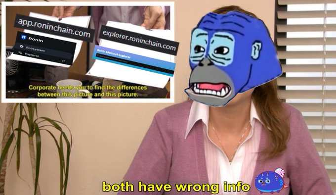A person wearing a blue cartoon monkey mask and a pink cardigan sits in a room, with an inset image showing two screens comparing websites 'app.roninchain.com' and 'explorer.roninchain.com' along with the text 'Corporate need - you to find the differences between this picture and this picture.' and 'both have wrong info'.