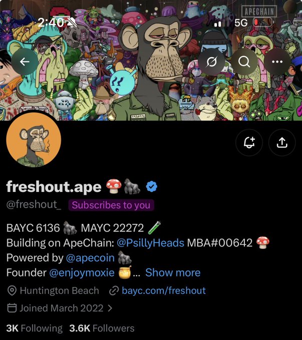 The image shows the X/Twitter profile of "freshout.ape" (@freshout_) with a Bored Ape NFT avatar, displaying 3.6K followers and bio details including BAYC 6136, MAYC 22272, and their role building on ApeChain. The caption celebrates receiving a subscription from this OG Ape community member, highlighting a new connection made within the BAYC ecosystem ahead of ApeFest.