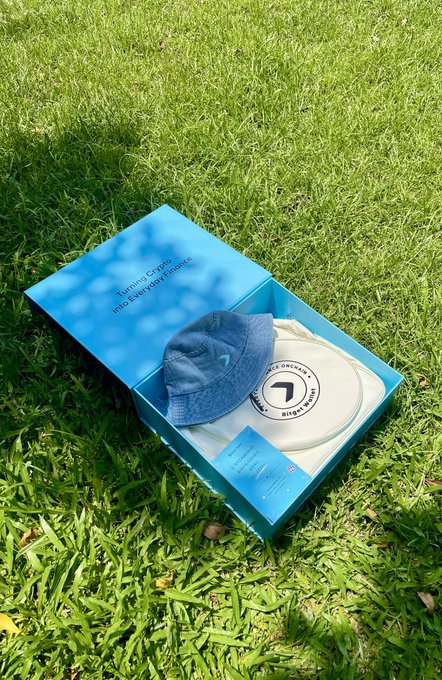 An open blue 'Hilton Honors' Diamond membership kit box placed on grass, containing a welcome letter, a white frisbee/disc with the Hilton logo, and a blue baseball cap.