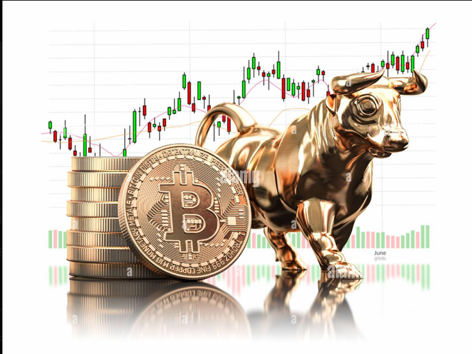 The image displays a golden bull figurine standing next to a stack of gold coins with a prominent Bitcoin (₿) symbol, set against a candlestick chart with green and red bars and the word "June" visible, symbolizing a bullish cryptocurrency market. 

This visual ties into the post's message about staying focused on core assets like Bitcoin rather than chasing speculative "百倍币" (100x coins) when preparing for the next bear market bottom.