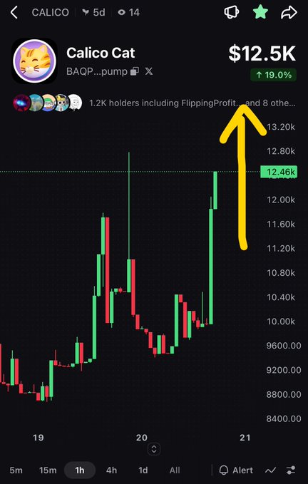 A mobile screenshot of a cryptocurrency or token chart for 'Calico Cat' (CA: BAQP...pump) showing a price of '$12.5K' with a '19.0%' increase, with a yellow hand-drawn arrow pointing to the holders' count.