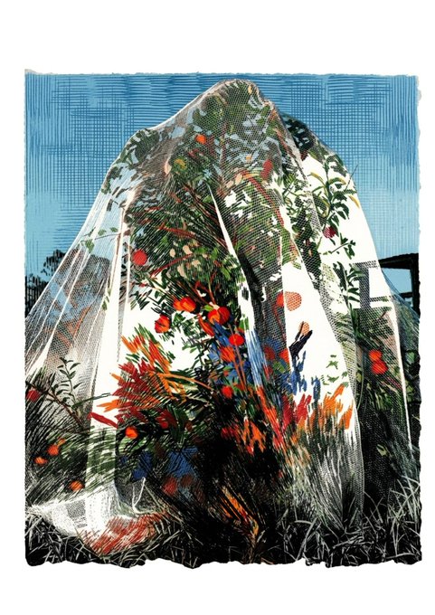 A layered, mixed-media artwork shows a translucent white veil or fabric draped over what appears to be a vibrant garden of red tomatoes, green foliage, and colorful flowers against a blue sky.