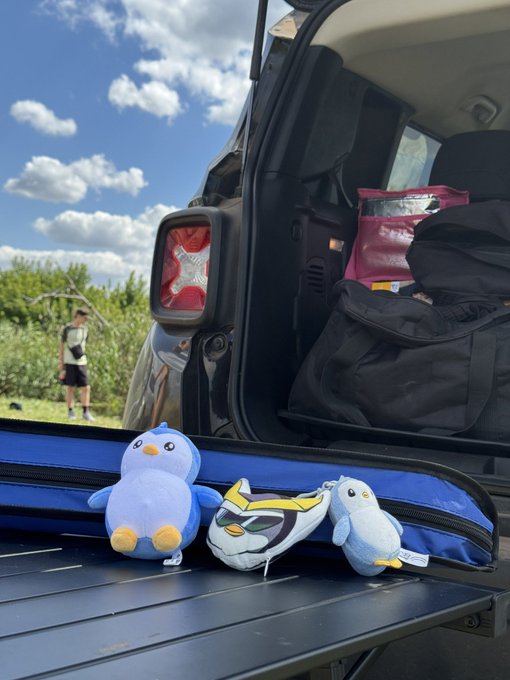 Two blue penguin plush toys and a soccer ball-shaped plush sit on the open tailgate of a vehicle, with a child visible in the grassy background under a partly cloudy sky.