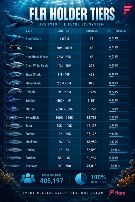 This infographic titled "FLR Holder Tiers: Dive Into the Flare Ecosystem" visually categorizes over 405,197 FLR token holders into 16 marine-themed tiers, ranging from 75 "Blue Whales" (>100M FLR) at the top to 45,013 "Anchovies" (100-500 FLR) at the bottom, with each tier showing holder count and percentage. The post's mentioned tiers—Blue Whales (75), Dolphins (2,928), Herring (52,593), and Anchovy (45,013)—correspond directly to entries in the chart, reinforcing the post's message about the diverse distribution of FLR holders across the ecosystem.
