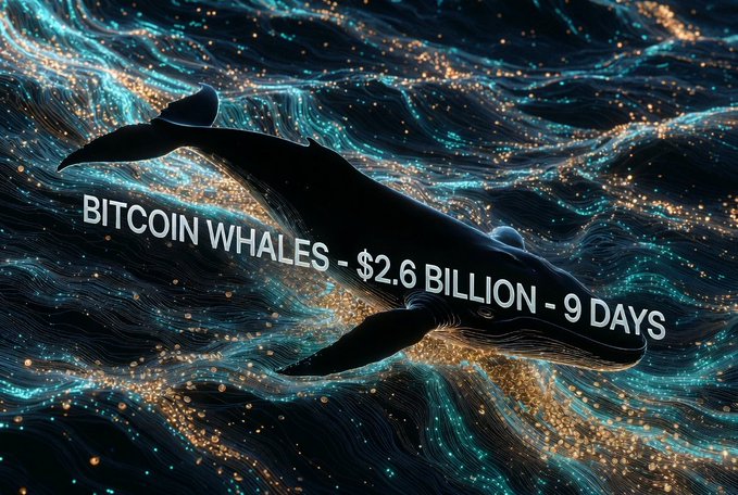 A digital illustration of a black whale with the text 'BITCOIN WHALES - $2.6 BILLION - 9 DAYS' overlaid on a sparkling, wavy water background.